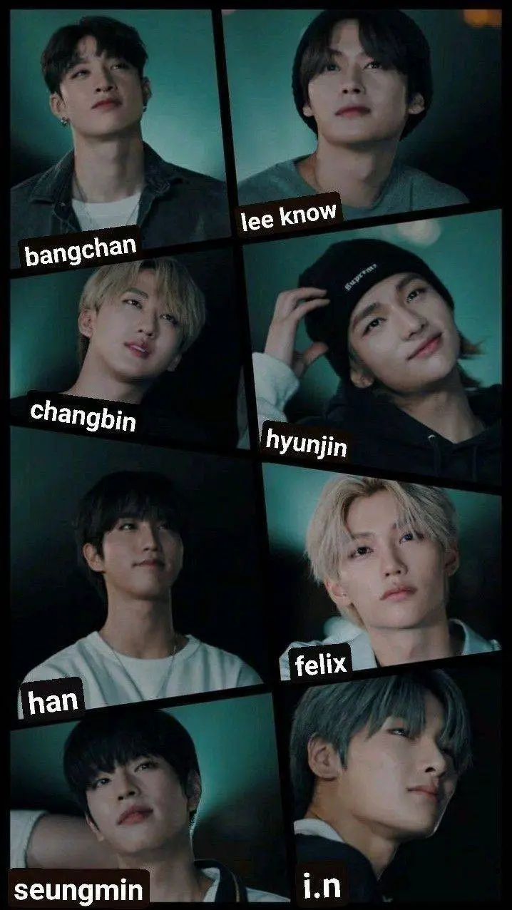 ai character: stray kids  background