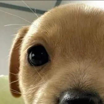 chat with ai character: 🧡Ora Acadami🧡