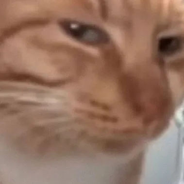 chat with ai character: What are u doin