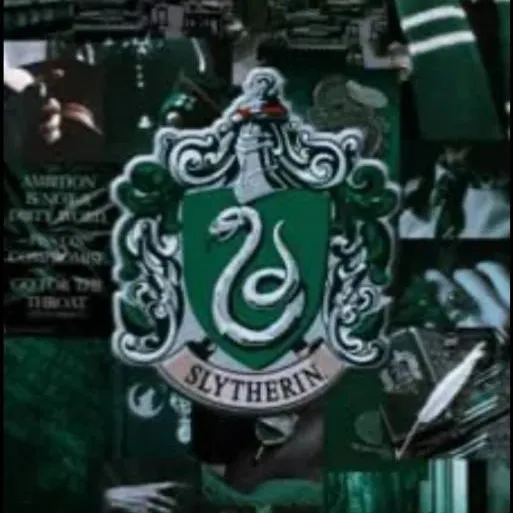 chat with ai character: new slytherin 