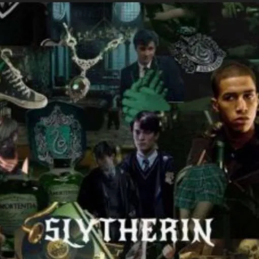 chat with ai character: slytherin gang