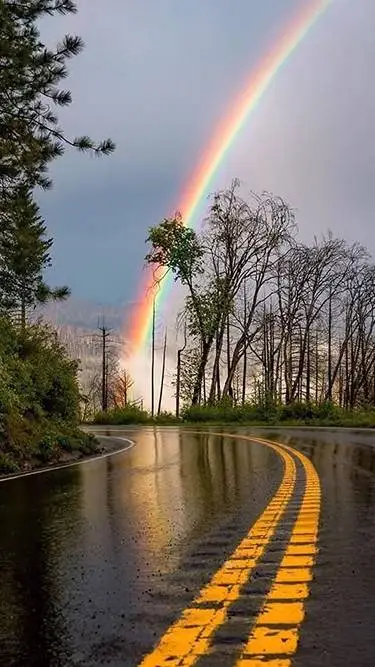 Talkie AI - Chat with Halloween Special 