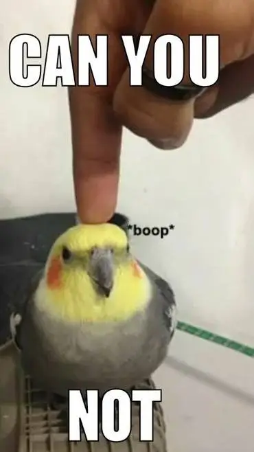 ai character: Bai baii background