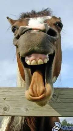 ai character: horse background
