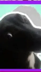 ai character: El cachorroGUPPIES background