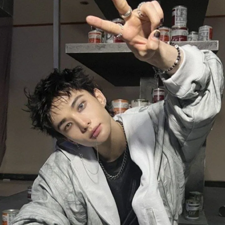 chat with ai character: Hyunjin❤️