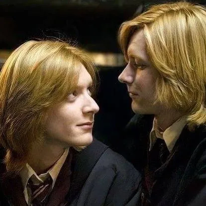 chat with ai character: Weasley Twins