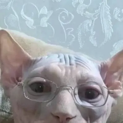 chat with ai character: gato con lentes