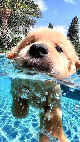 ai character: ~•°🍩☕ Skz~•°☕🍩 background