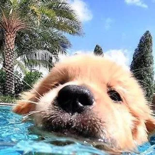 chat with ai character: ~•°🍩☕ Skz~•°☕🍩