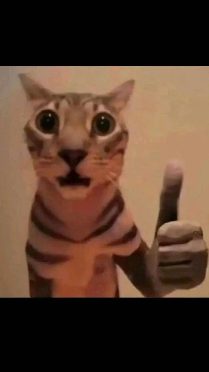 ai character: gato supremo background