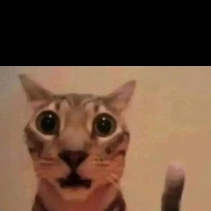 chat with ai character: gato supremo