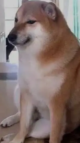 ai character: chem background