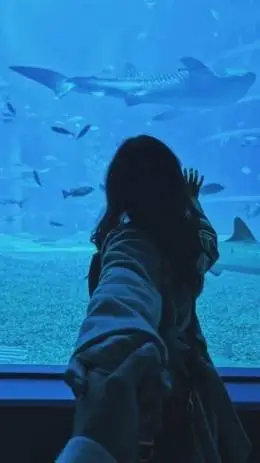 ai character: Enhypen aquarium background