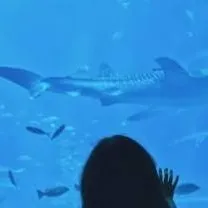 chat with ai character: Enhypen aquarium