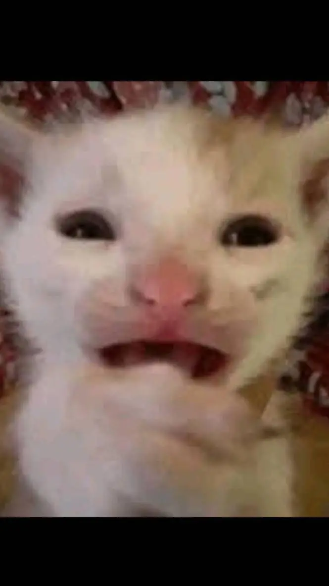 ai character: scared cat background