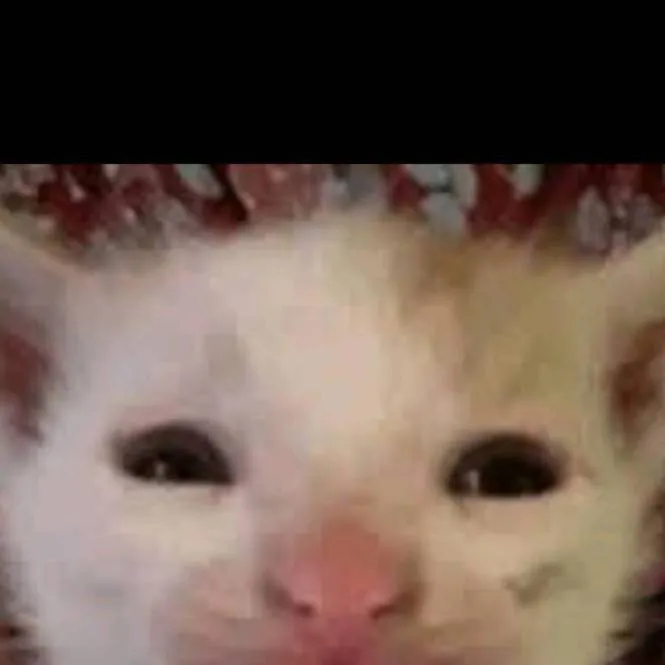 chat with ai character: scared cat