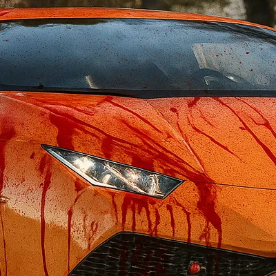 chat with ai character: Possessed Lambo