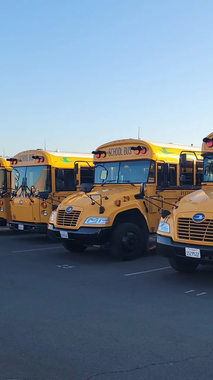 ai character: School Bus Fleet background
