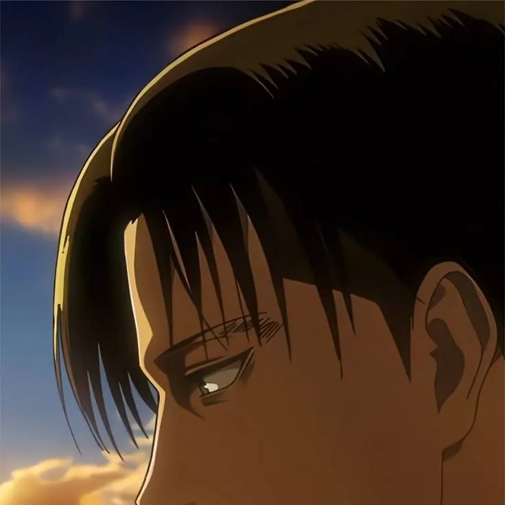 chat with ai character: Levi Ackerman