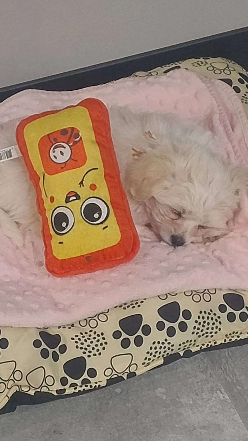 ai character: My dog background