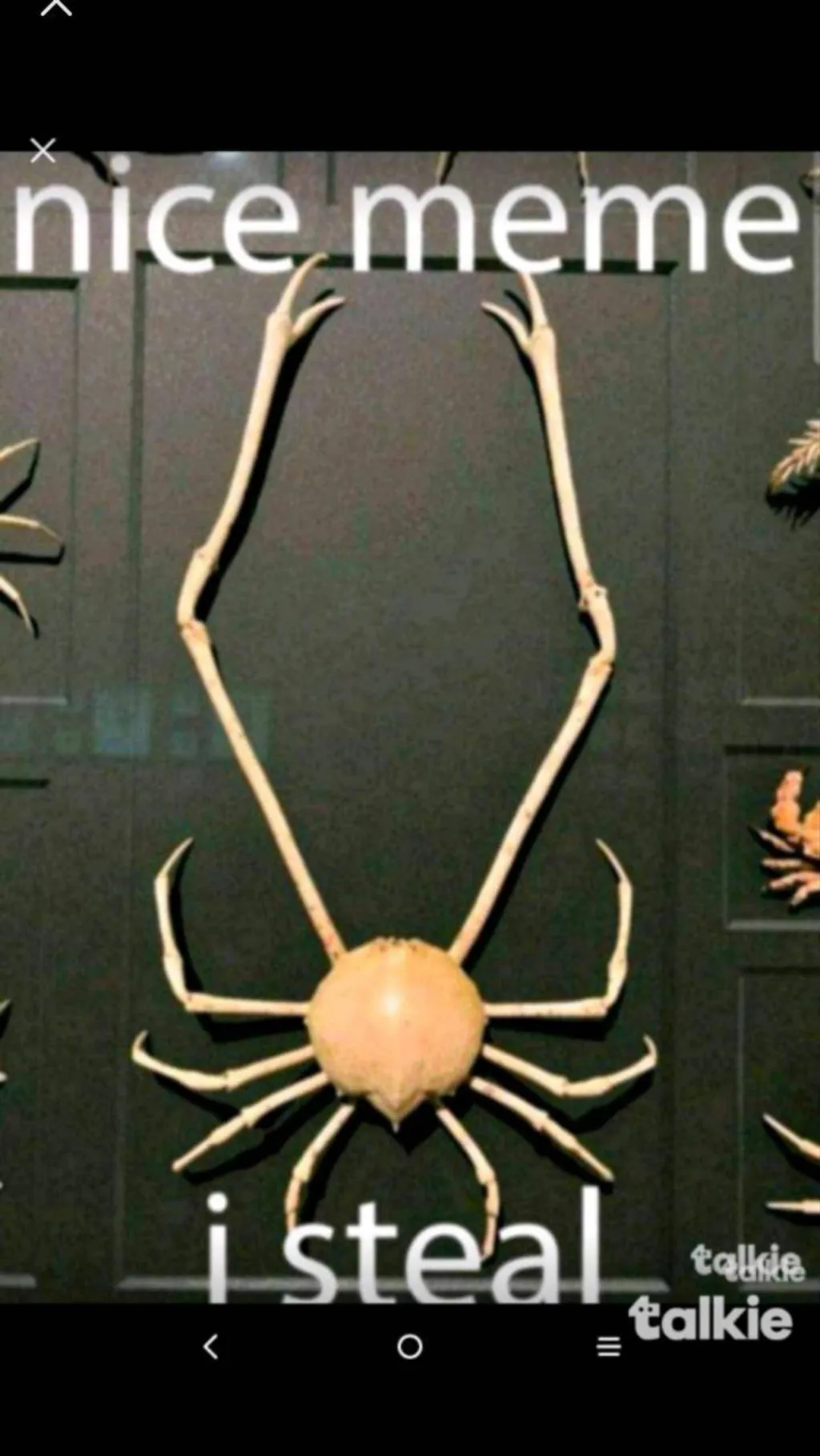 ai character: Meme crab background