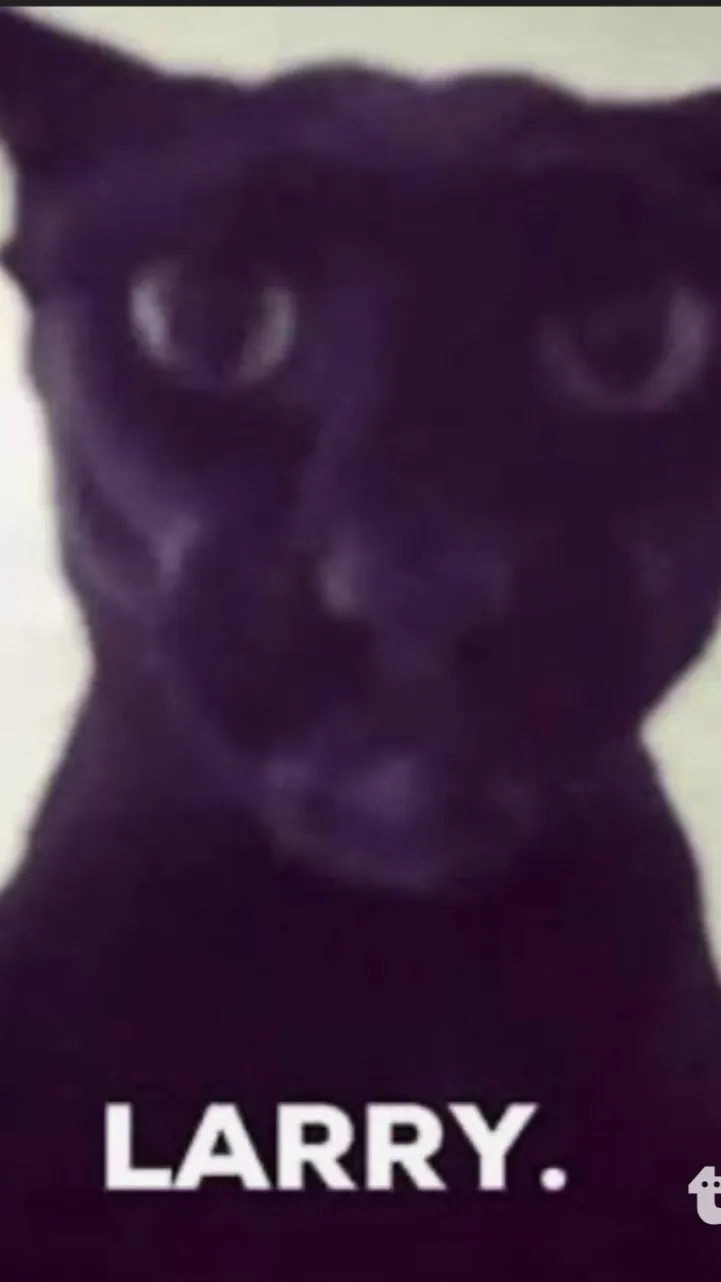 ai character: Larry background