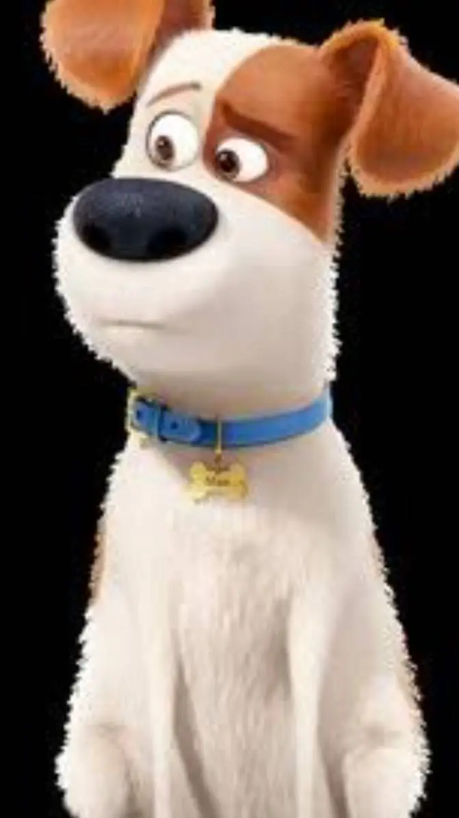 ai character: Max: pets vida sec background