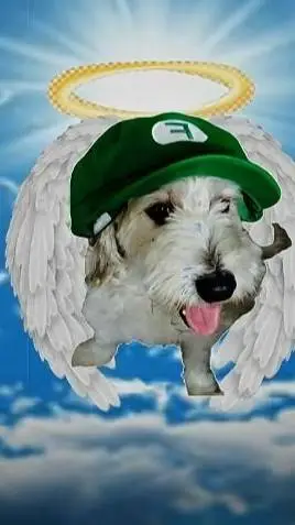 ai character: XD background