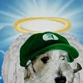 chat with ai character: XD