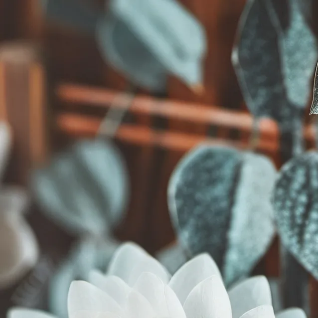 chat with ai character: spekerman facha