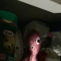 chat with ai character: lil nugget