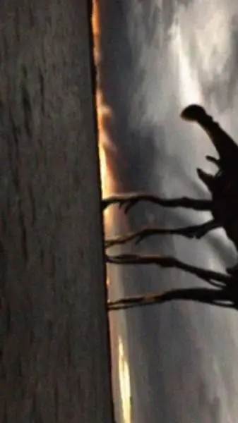 ai character: day 18 background