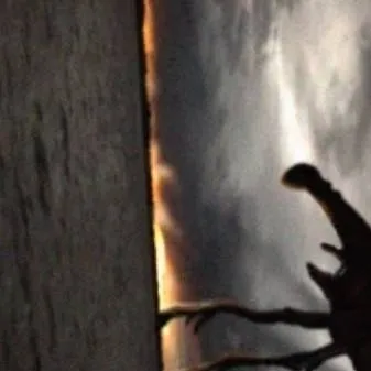 chat with ai character: day 18