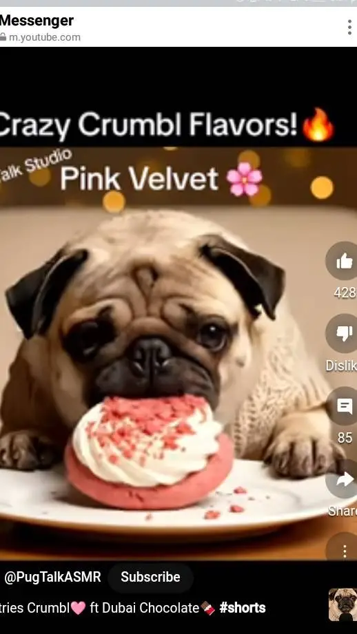 ai character: pugtalkasmr background