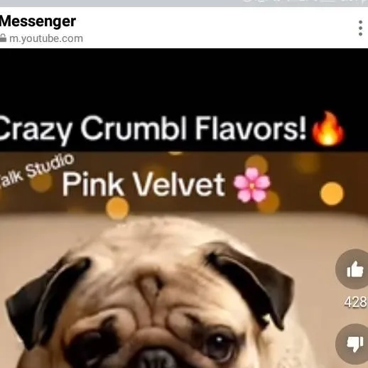 chat with ai character: pugtalkasmr