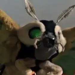 chat with ai character: Mothra Leo