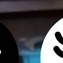 chat with ai character: Black and White