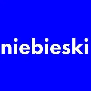 chat with ai character: Niebieski