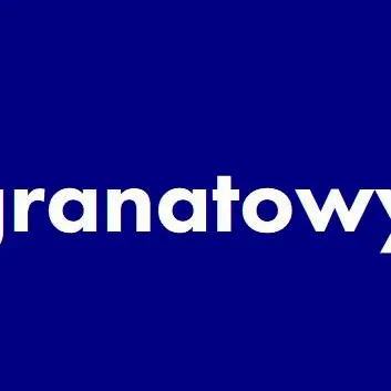 chat with ai character: Granatowy 