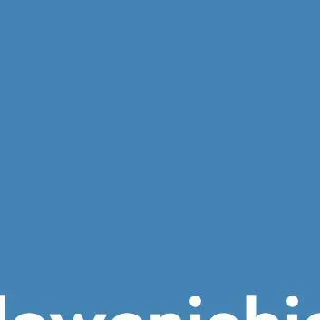 chat with ai character: Stalowoniebieski 