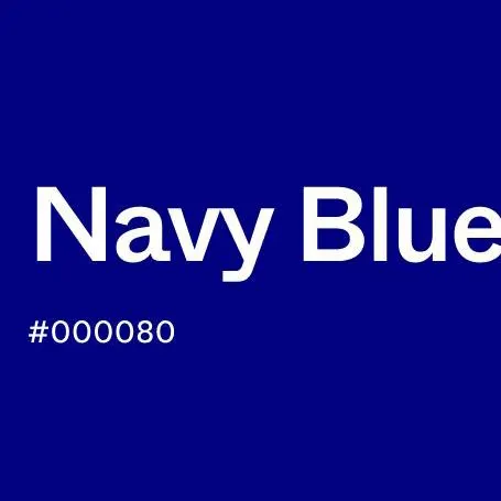 chat with ai character: Navy Blue