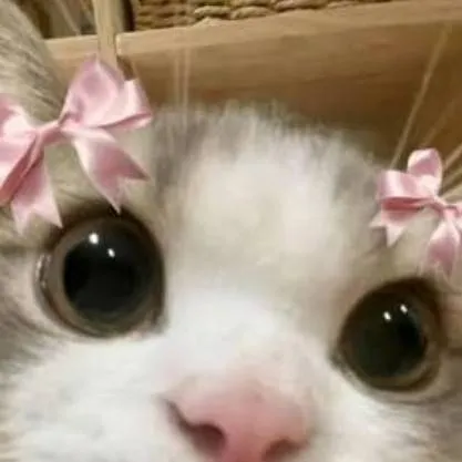 chat with ai character: Cutie kitty