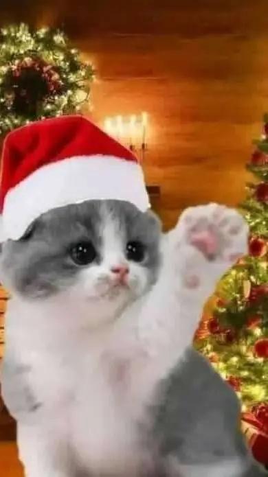 ai character: 𖣔jake𖣔 background