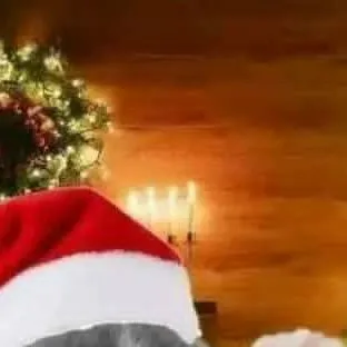 chat with ai character: 𖣔jake𖣔