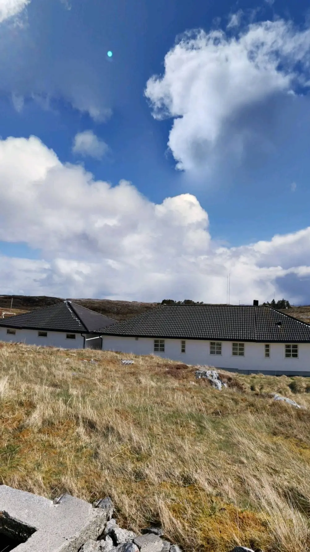 ai character: Family_Hates_you background