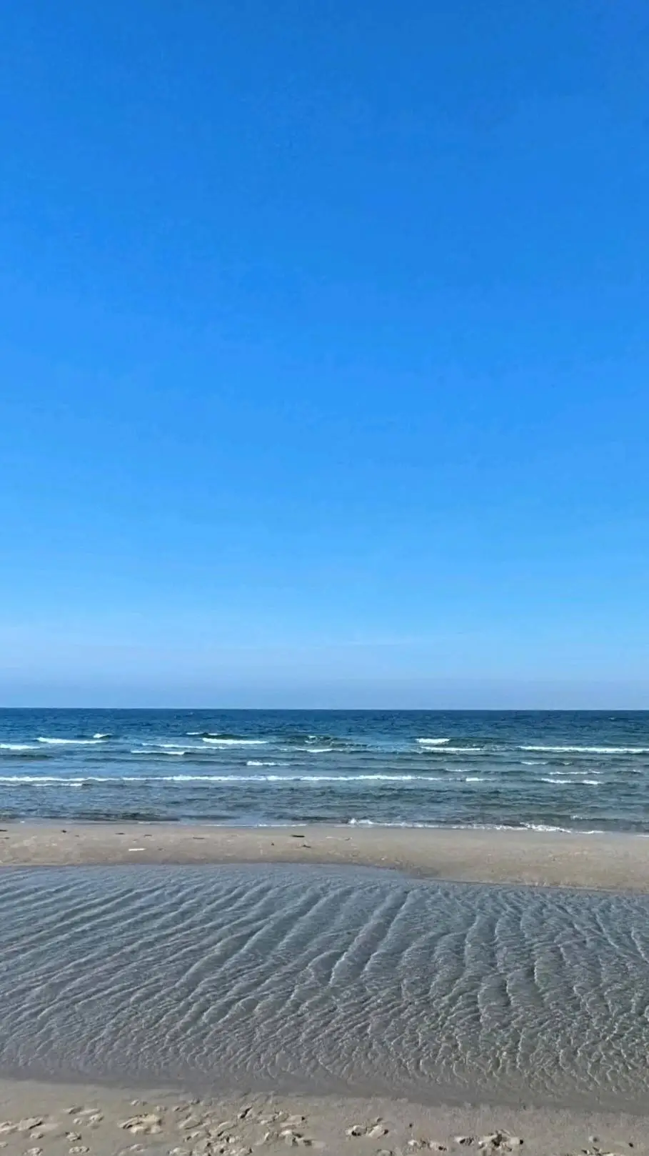 ai character: Freedom background