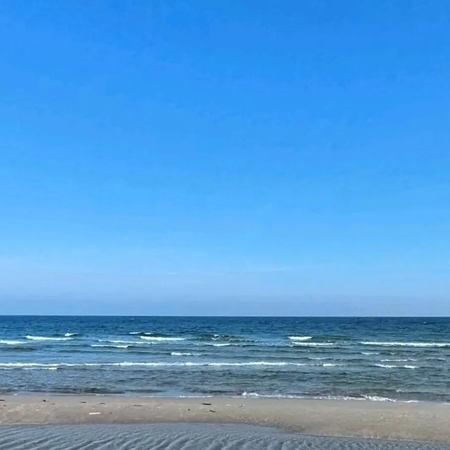 chat with ai character: Freedom