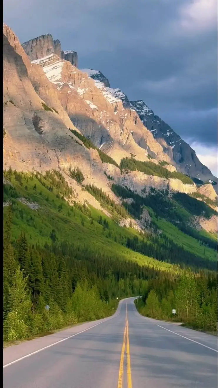 ai character: Freedom background