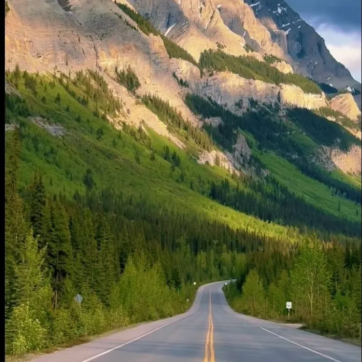 chat with ai character: Freedom